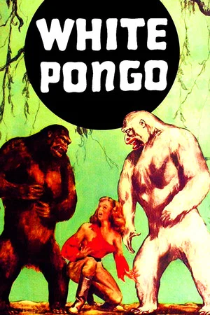 Постер: White Pongo