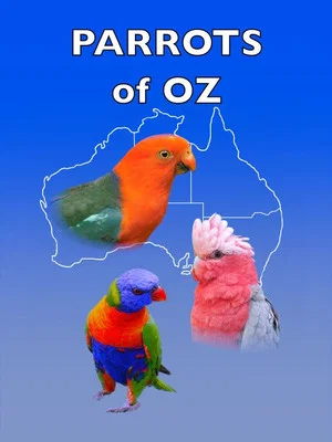Постер: Parrots of Oz
