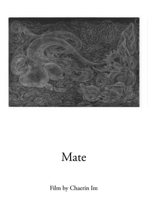 Постер: Mate