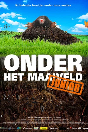 Постер: Onder het maaiveld junior