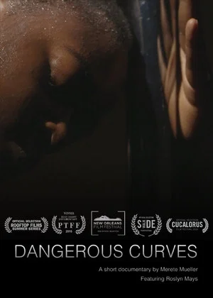 Постер: Dangerous Curves