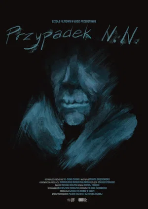 Постер: The Case of N.N.