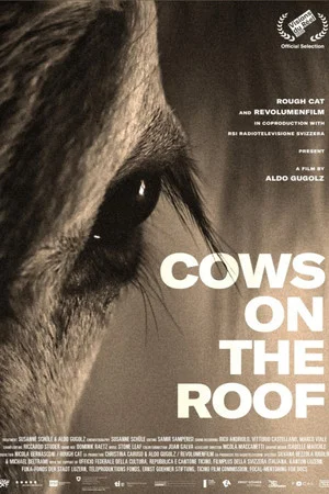 Постер: Cows on the Roof
