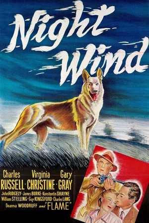 Постер: Night Wind