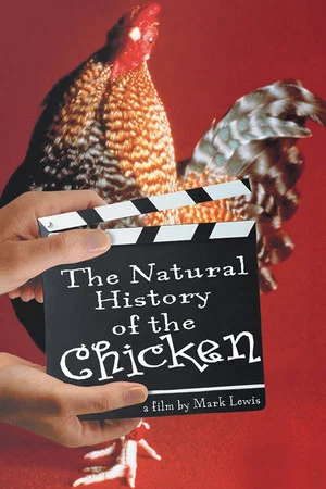 Постер: The Natural History of the Chicken
