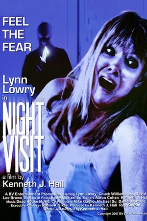 Постер: Night Visit