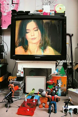 Постер: Björk: MTV Unplugged 1994