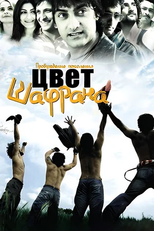 Постер: Цвет шафрана