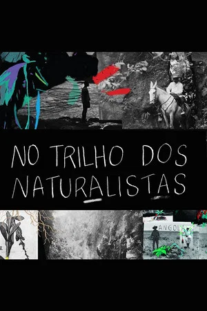 Постер: No Trilho dos Naturalistas: Angola