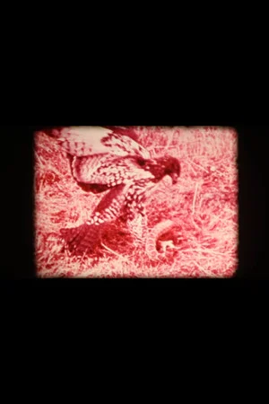 Постер: Animal Within