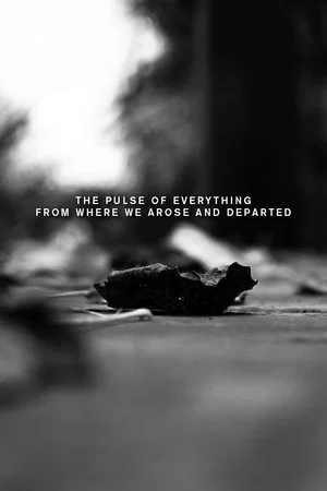 Постер: The pulse of everything from where we arose and departed