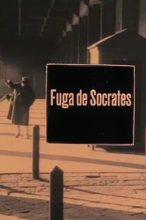 Постер: The Flight of Socrates