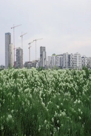 Постер: The Best City is No City at All