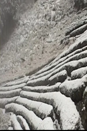 Постер: Osawa Winter