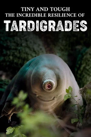 Постер: Tiny and Tough - The Incredible Resilience of Tardigrades