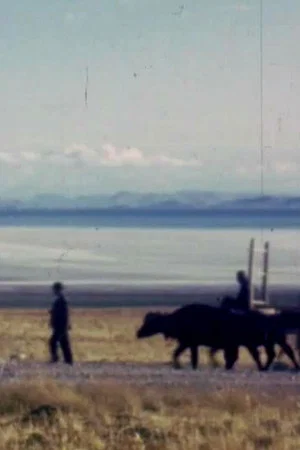 Постер: Istanbul - Baghdad - Teheran: 1944-58