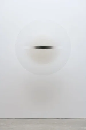 Постер: Robert Irwin : the beauty of questions