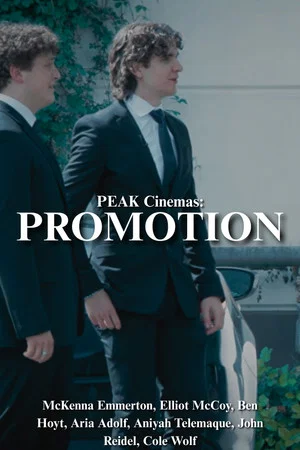 Постер: PROMOTION