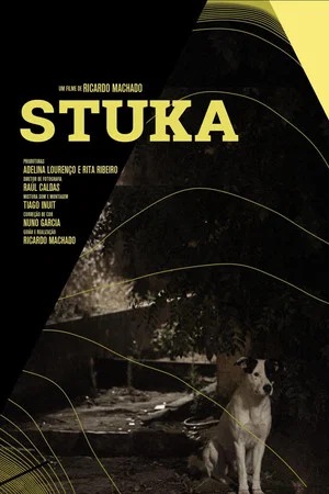 Постер: Stuka