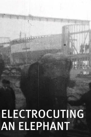Постер: Electrocuting an Elephant