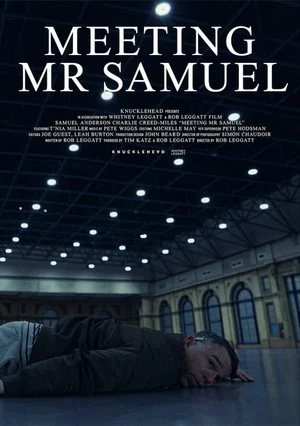 Постер: Meeting Mr Samuel