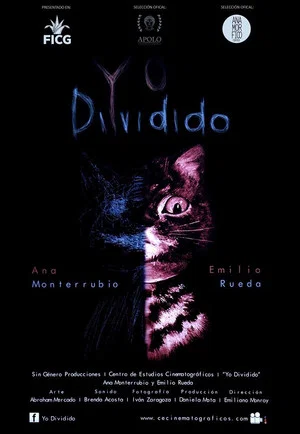 Постер: Yo Dividido