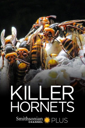 Постер: Killer Hornets