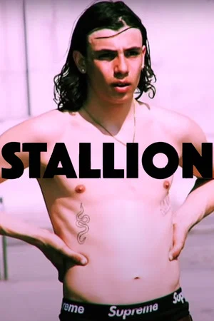 Постер: STALLION
