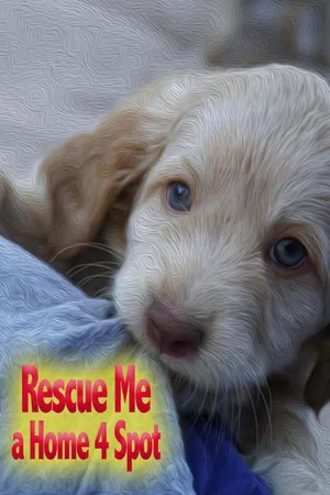 Постер: Rescue Me: A Home 4 Spot