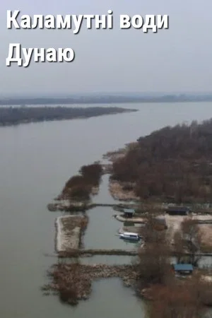Постер: Muddy Waters of the Danube