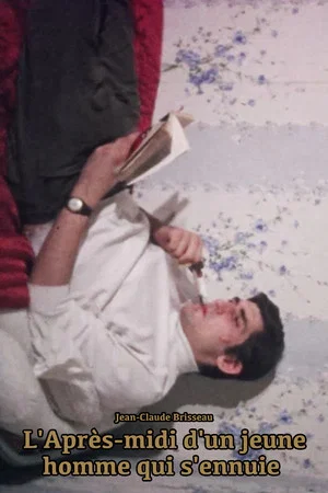 Постер: The Afternoon of a Bored Young Man