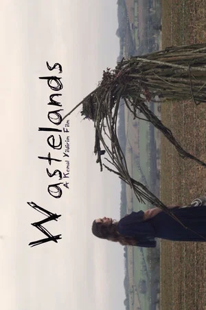 Постер: Wastelands