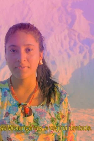 Постер: Wayuu Creation Myth