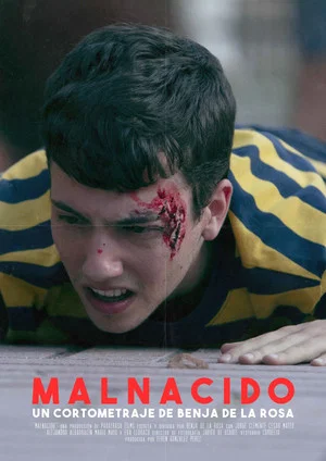 Постер: Malnacido