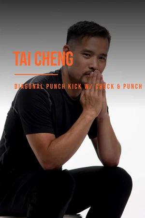 Постер: Tai Cheng - Diagonal Punch Kick With Check & Punch