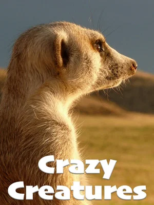 Постер: Crazy Creatures