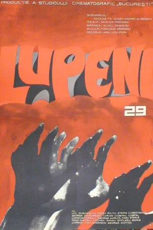 Постер: Лупень, 29