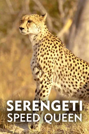 Постер: Serengeti Speed Queen