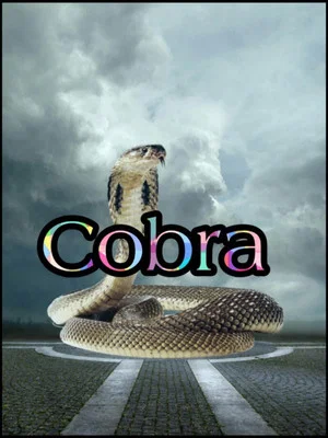 Постер: Cobra