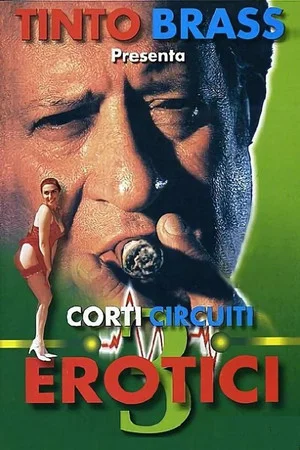 Постер: Corti circuiti erotici Vol.3