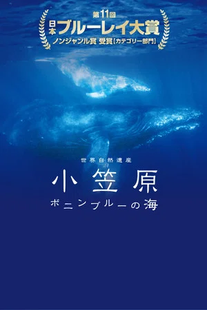Постер: World Natural Heritage Ogasawara - The Sea of Bonin