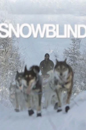 Постер: Snowblind