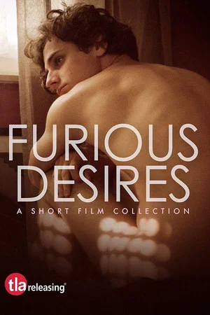Постер: Furious Desires