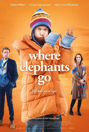 Постер: Where Elephants Go