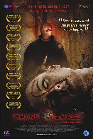 Постер: The Man in the Maze