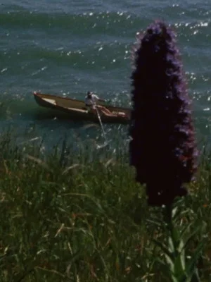 Постер: New Shores