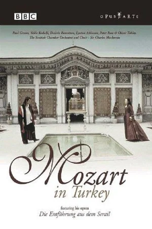 Постер: Mozart in Turkey