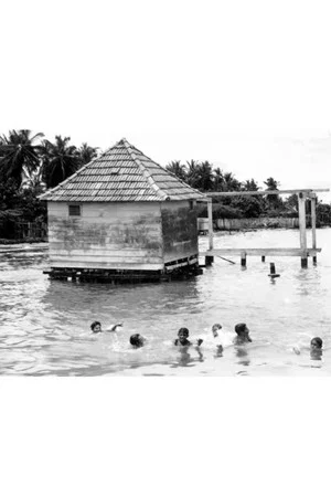 Постер: Muchachos bañándose en la laguna de Maracaibo