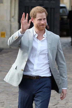 Постер: Harry: The Troubled Prince