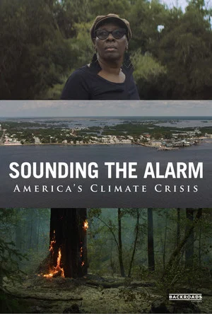 Постер: Sounding the Alarm
